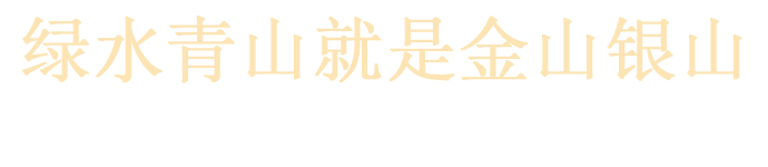 九五至尊VI